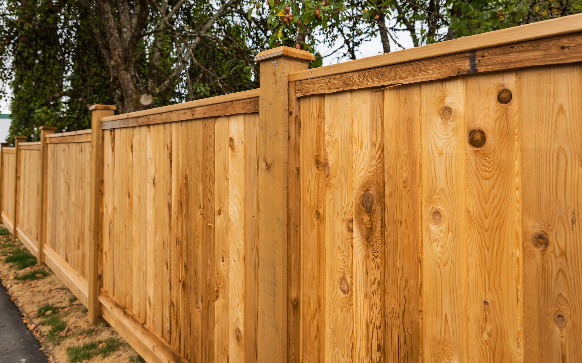 Make better memories with the backyard youve always wanted 7