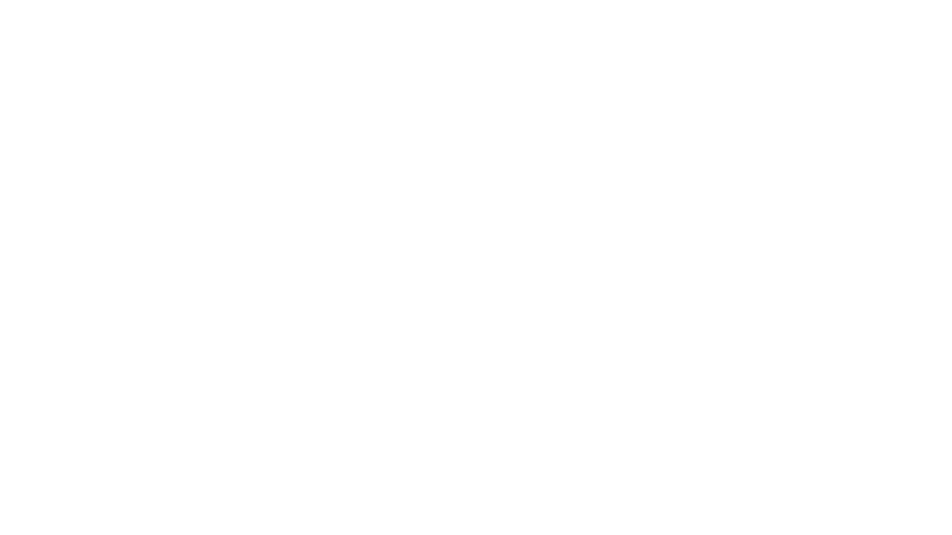 logo ameristar